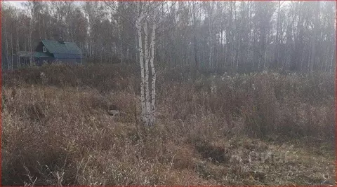 Участок в Челябинская область, Сосновский муниципальный округ, с. ...