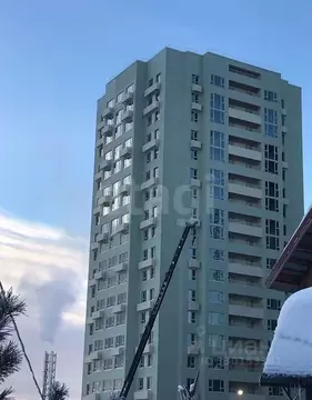 Студия Алтайский край, Барнаул городской округ, Южный рп тракт Южный, ...