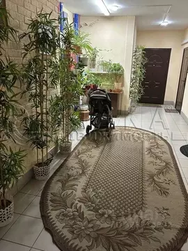 Студия Санкт-Петербург ул. Софьи Ковалевской, 20к1 (26.0 м)