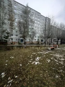 2-к кв. Омская область, Омск Московка-2 мкр, ул. Ярослава Гашека, 6 ...