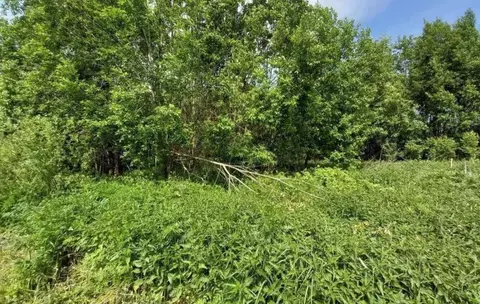 Участок в Московская область, Дмитровский муниципальный округ, пос. ...