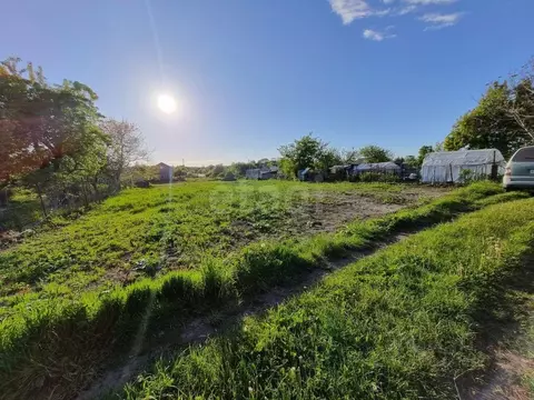 Участок в Калининградская область, Янтарный пгт, Садовник СНТ ул. ...