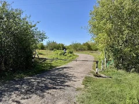 Участок в Воронежская область, Каширский район, Дзержинское с/пос, ...