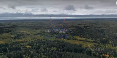 Участок в Москва Рубин СНТ, 129 (6.07 сот.)