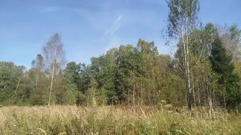 Участок в Московская область, Талдомский городской округ, Запрудня пгт ...