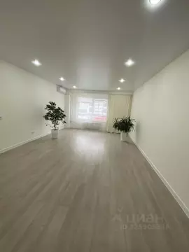 Студия Пензенская область, Пенза ул. 65-летия Победы, 29 (39.1 м)