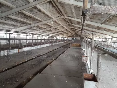 Производственное помещение в Краснодарский край, Тбилисский район, ...