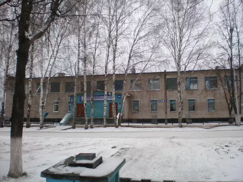 Помещение свободного назначения в Башкортостан, Мишкинский сельсовет, ...