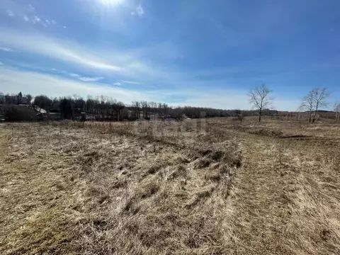 Участок в Тульская область, Киреевский район, Бородинское с/пос, ...