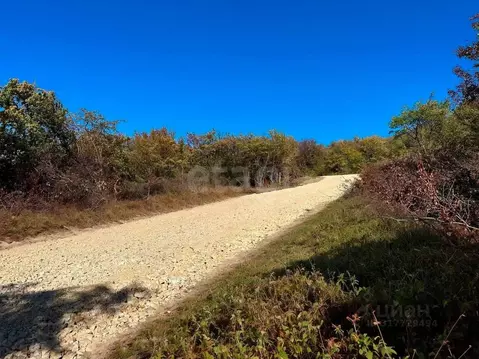 Участок в Крым, Симферопольский район, Добровское с/пос, с. Чайковское ...