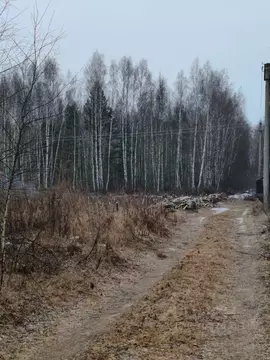 Участок в Рязанская область, Рязанский район, пос. Мурмино ул. ...