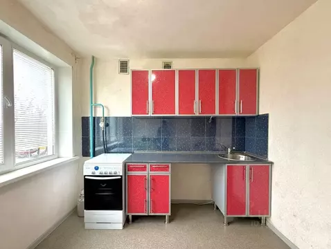 1-к кв. Ленинградская область, Кингисеппский район, Большелуцкое ...