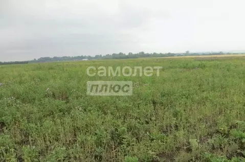 Участок в Челябинская область, Октябрьский муниципальный округ, с. ...