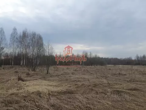 Участок в Московская область, Дмитровский муниципальный округ, д. ...
