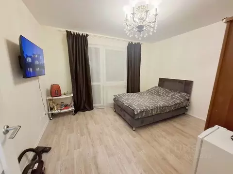 Студия Санкт-Петербург дор. Муринская, 12к2 (23.0 м)