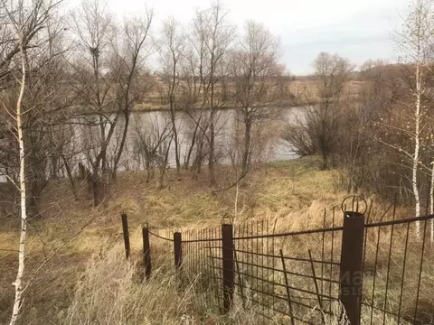 Участок в Омская область, Омский район, Богословское с/пос, с. ...