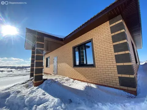 Дом в Пенза, Васильковая улица (120 м)