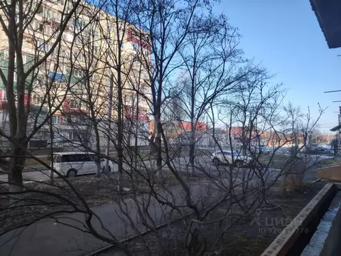 1-к кв. Адыгея, Майкоп ул. Патриса Лумумбы, 122 (37.4 м)