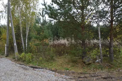 Участок в Свердловская область, Белоярский муниципальный округ, Колос ...