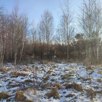 Участок в Московская область, Павлово-Посадский городской округ, д. ...