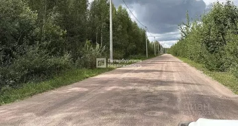 Участок в Ленинградская область, Всеволожский район, Рахьинское ...
