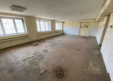 Помещение свободного назначения в Москва ул. 50 лет Октября, 6 (65 м)
