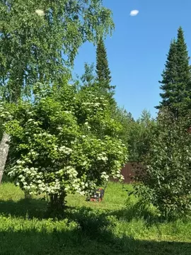 Участок в Томская область, Томск пос. Родионово, ул. 1000-летия Руси ...