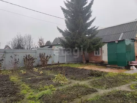 Дом в Тюменская область, Тюмень Подорожник СНТ, ул. Зеленая (18 м)