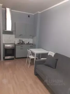 Студия Санкт-Петербург ул. Адмирала Черокова, 18к2 (28.0 м)