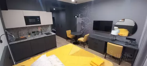 Студия Санкт-Петербург Ташкентская ул., 6к2 (25.0 м)