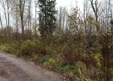 Участок в Ленинградская область, Выборгский район, Приморское ...