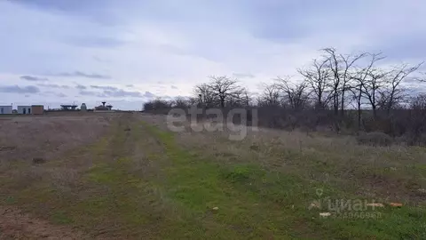 Участок в Крым, Сакский район, Молочненское с/пос, с. Витино  (6.52 ...