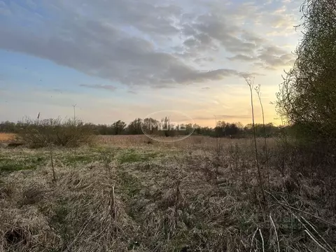 Участок в Калининградская область, Калининград Золотой Петушок ДНТ,  ...