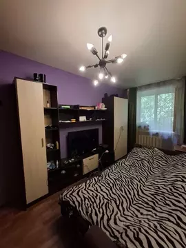 2-к кв. Самарская область, Самара Ново-Садовая ул., 162 (44.5 м)