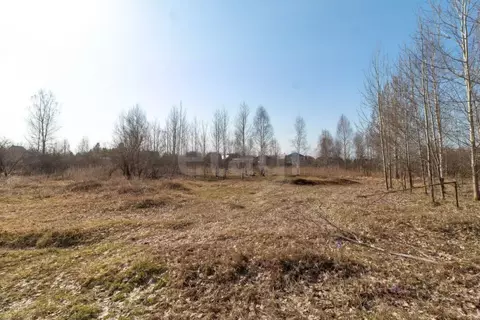 Участок в Тюменская область, Нижнетавдинский муниципальный округ, У ...