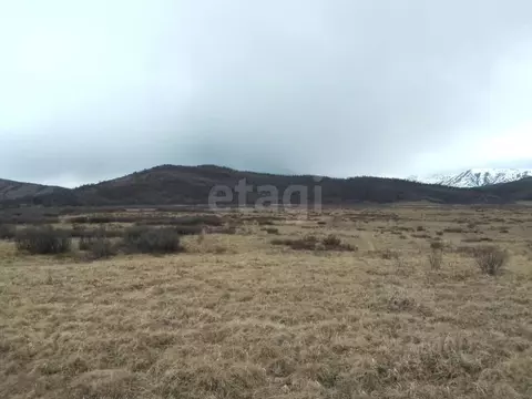 Участок в Алтай, Кош-Агачский район, Джазаторское с/пос, с. Беляши  ...