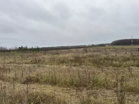 Участок в Московская область, Серебряные Пруды муниципальный округ, ...