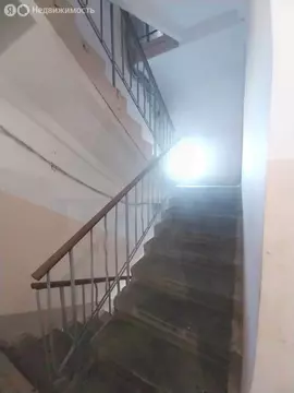 3-комнатная квартира: Екатеринбург, улица Народной Воли, 103 (57.8 м)