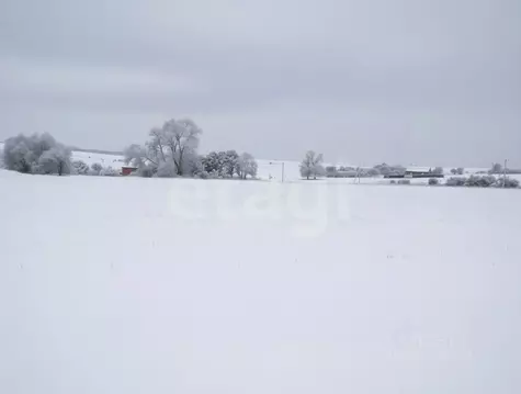 Участок в Тульская область, Новомосковск городской округ, с. Стрельцы  ...