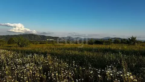 Участок в Алтайский край, Алтайский район, Айский сельсовет, ...