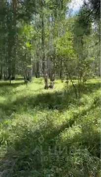 Участок в Свердловская область, Сысертский муниципальный округ, пос. ...