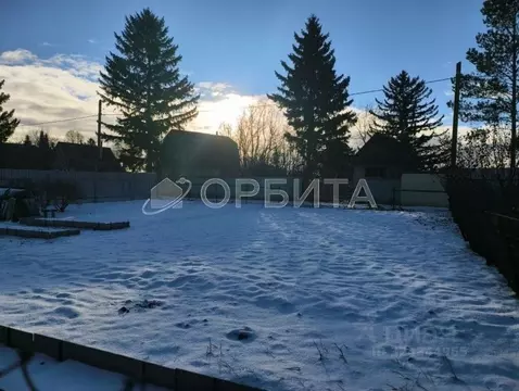 Участок в Тюменская область, Тюмень Подорожник СНТ, ул. Грушевая (4.0 ...