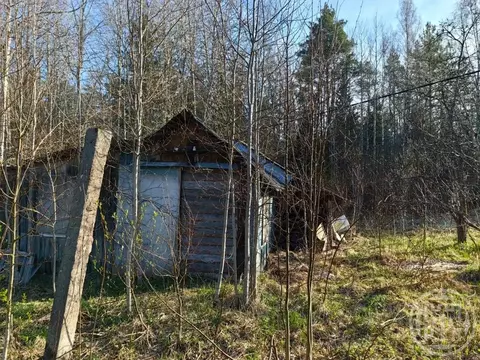 Участок в Санкт-Петербург пос. Серово, дор. Линдуловская (13.0 сот.)