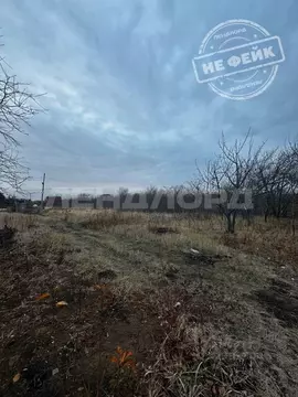 Участок в Ростовская область, Неклиновский район, Синявское с/пос, ...