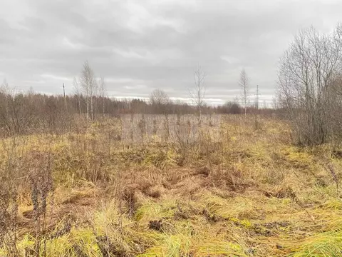 Участок в Вологодская область, Сокольский муниципальный округ, д. ...