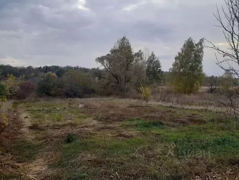 Участок в Белгородская область, Белгородский район, Комсомольское ...