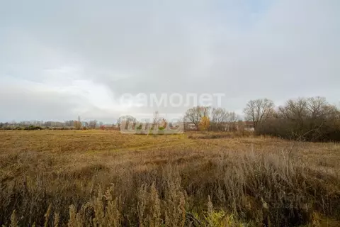 Дом в Липецкая область, Грязинский муниципальный округ, с. Казинка ул. ...