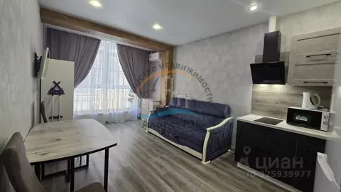 Студия Краснодарский край, Анапа Таманская ул. (26.0 м)