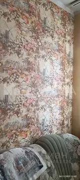 Студия Алтайский край, Барнаул ул. Весенняя, 16А (13.5 м)