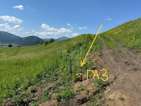 Участок в Алтай, Майминский район, с. Кызыл-Озек  (9.5 сот.)